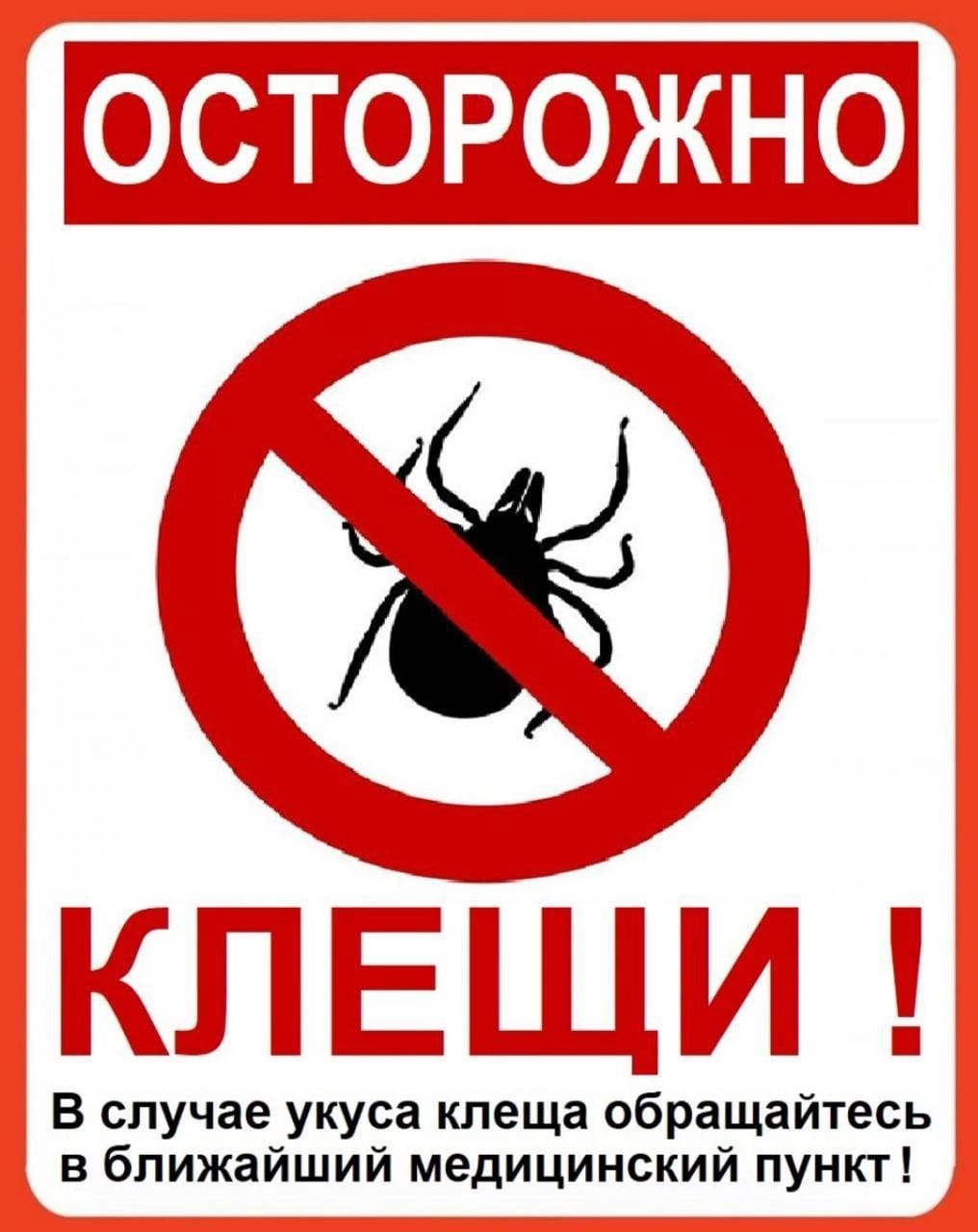 Осторожно клещи!.