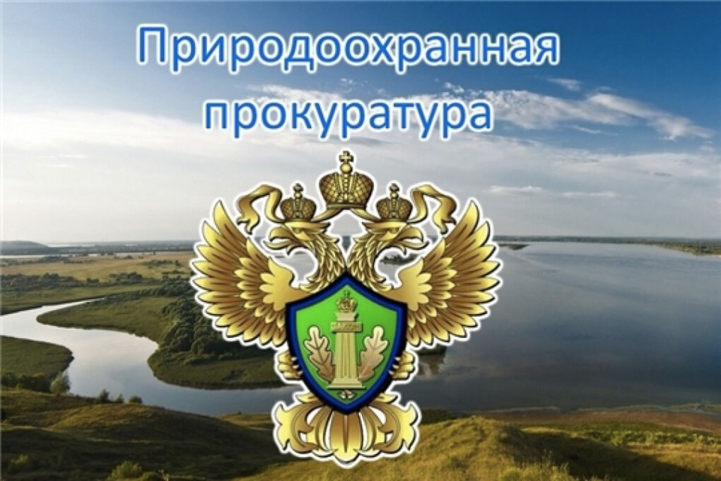 Дербентская межрайонная природоохранная прокуратура разъясняет законодательство об отходах производства и потребления в части обращения с крупногабаритными и строительными отходами.